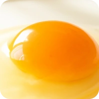 Huevos